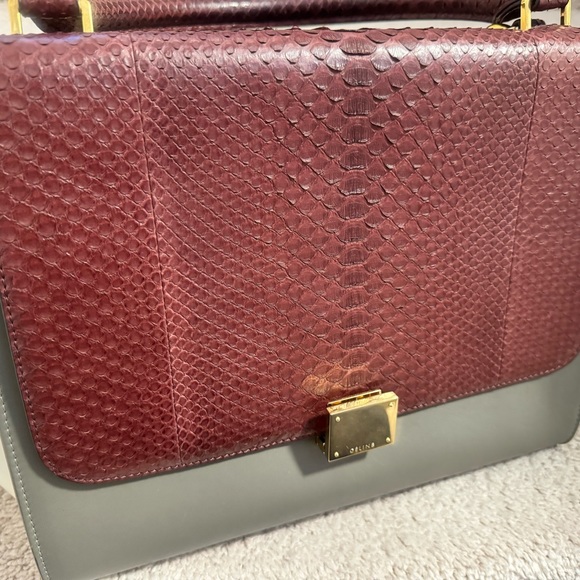 Celine Trio Color Python Trapeze - Picture 7 of 13